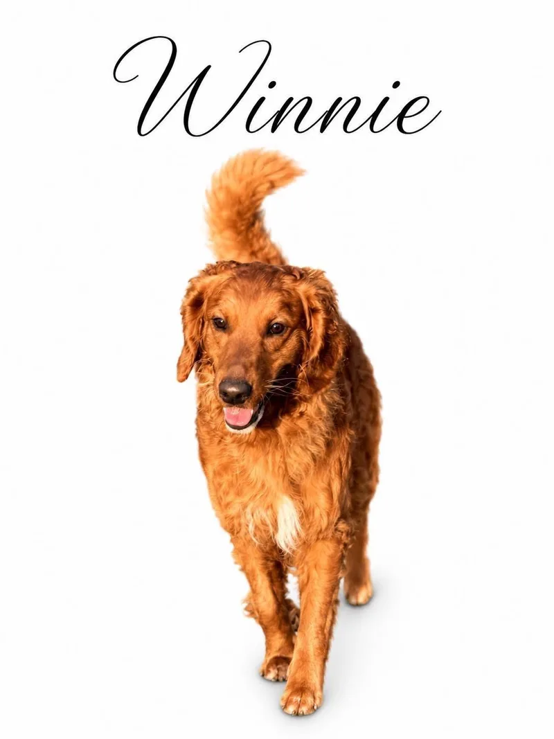 Winnie