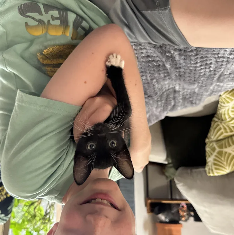 Ryuu and Hana thumbnail 4