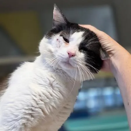 Ted Scratch thumbnail 5