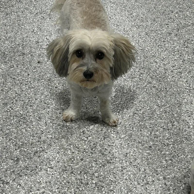 Emmie