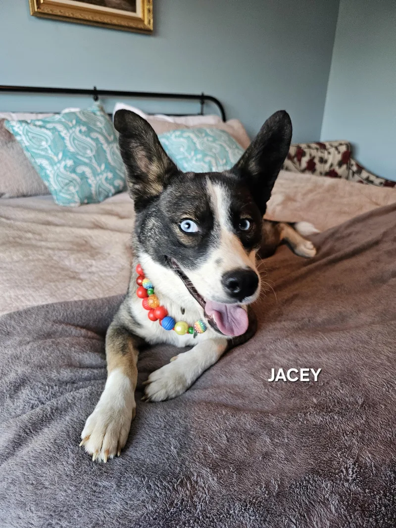 Jacey thumbnail 3