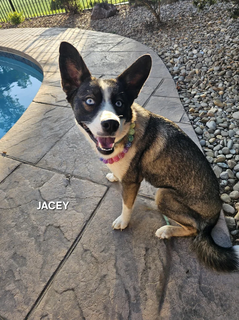 Jacey thumbnail 5