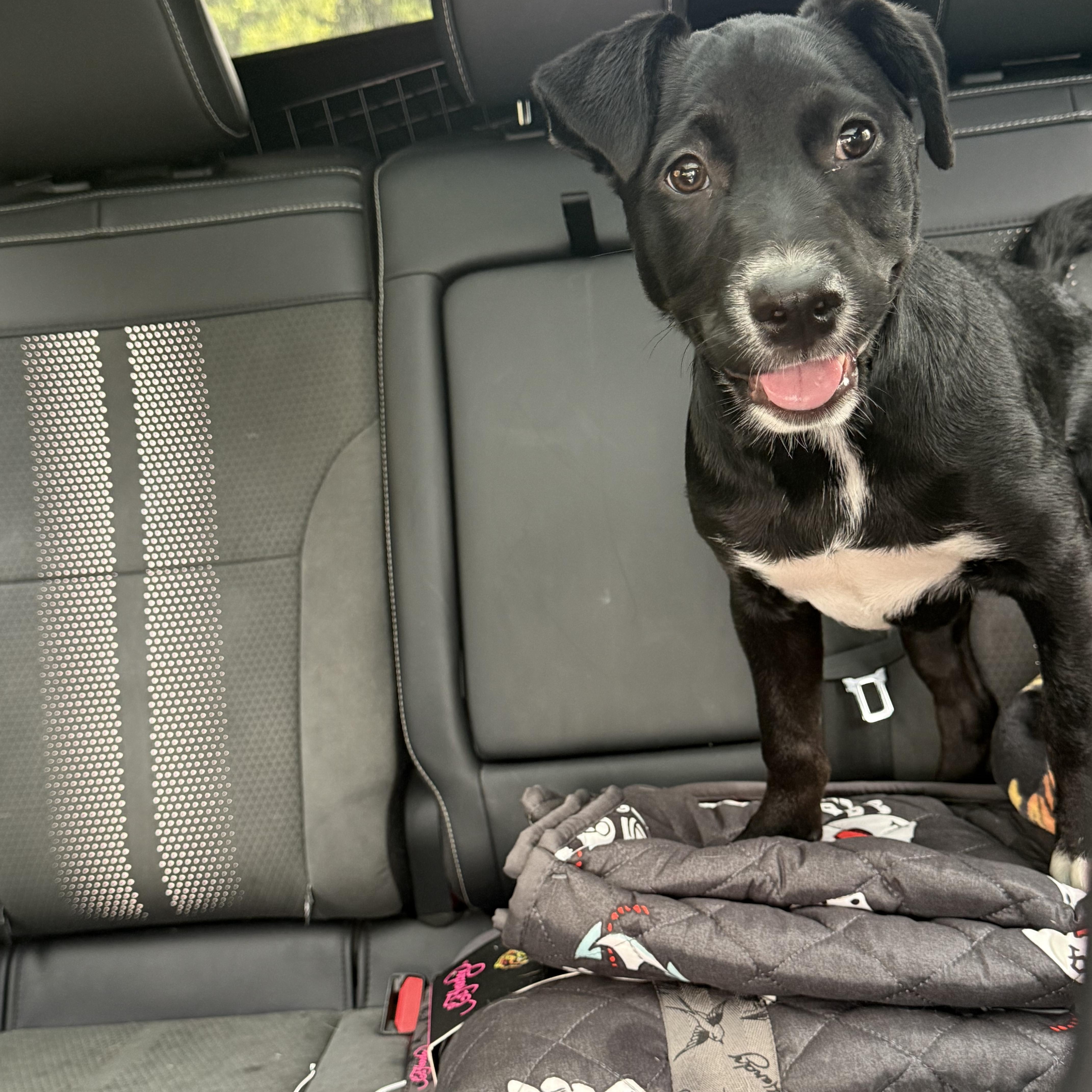 Daisy Mae thumbnail 2