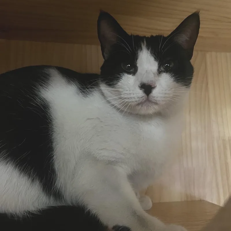 Amy thumbnail 3