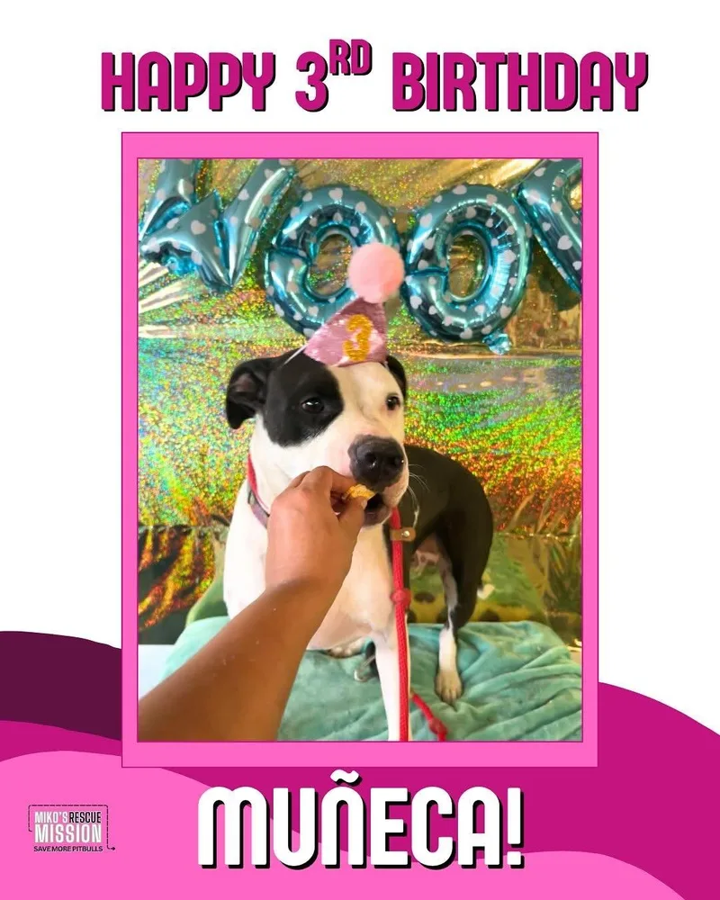 Muneca thumbnail 2