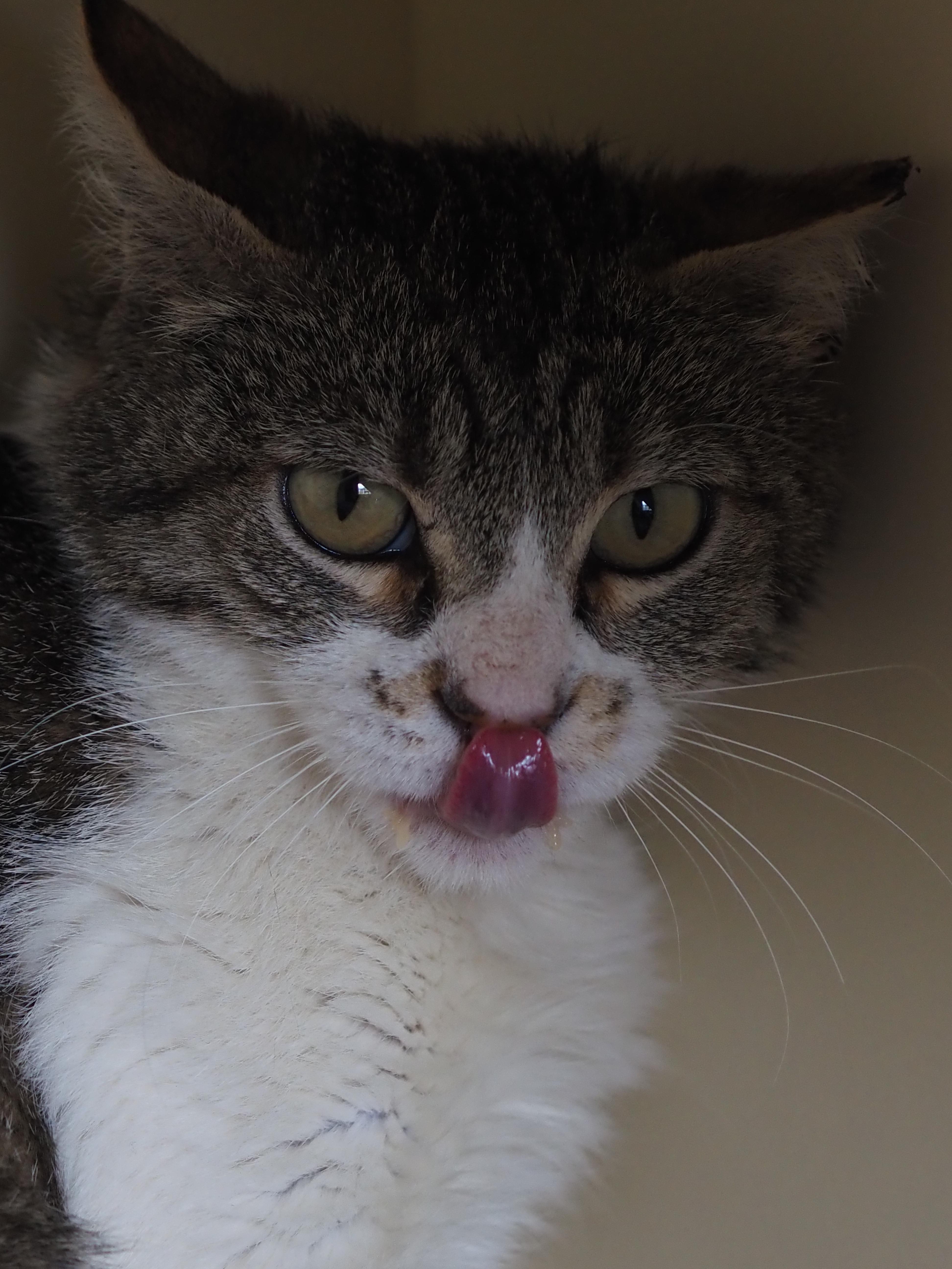 Carolyn thumbnail 2