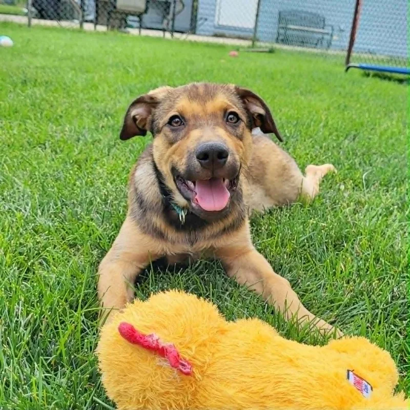 Adele thumbnail 2