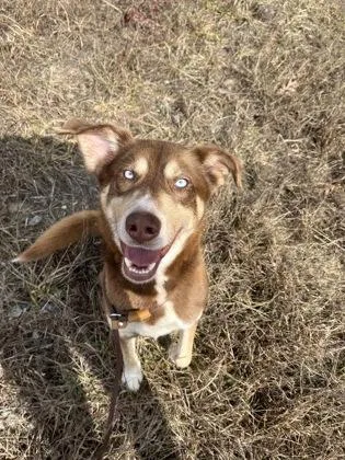 Handsome thumbnail 2