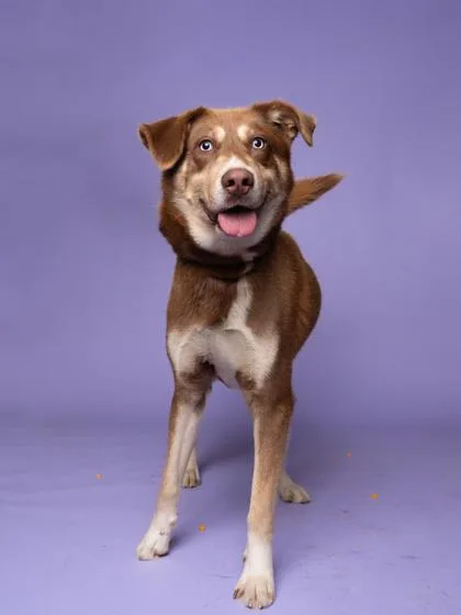 Handsome thumbnail 3