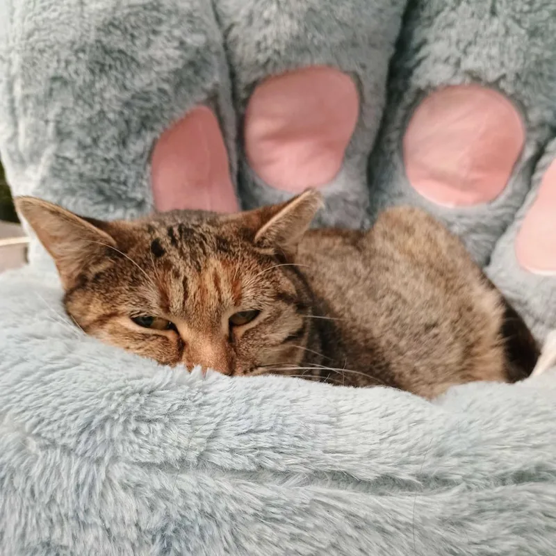 Be Responsible! thumbnail 2