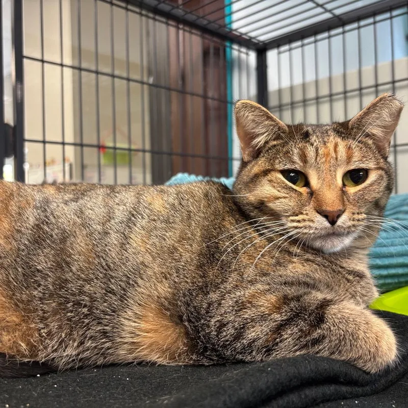 Be Responsible! thumbnail 3