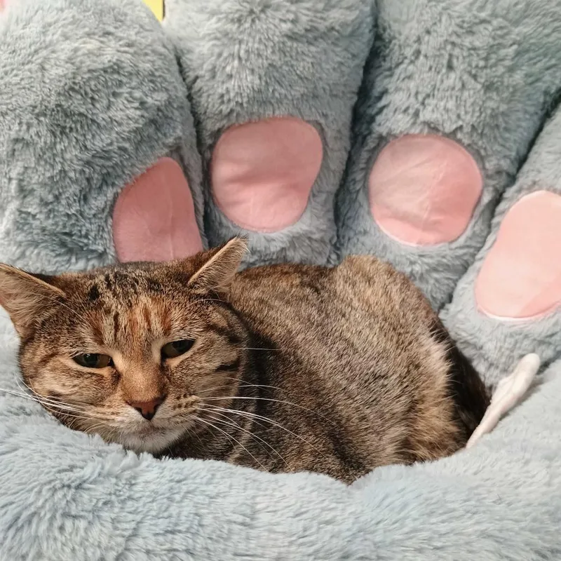 Be Responsible! thumbnail 4