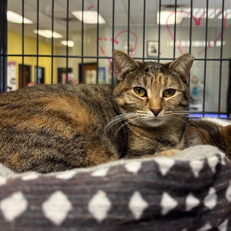 Be Responsible! thumbnail 5