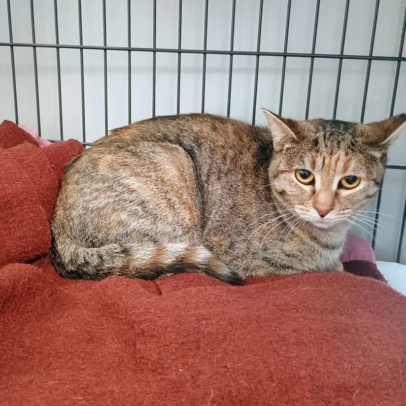 Be Responsible! thumbnail 6