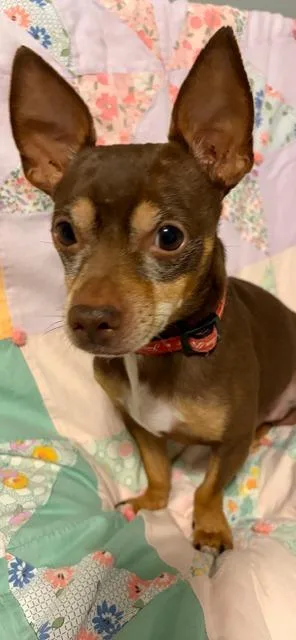 Cooper