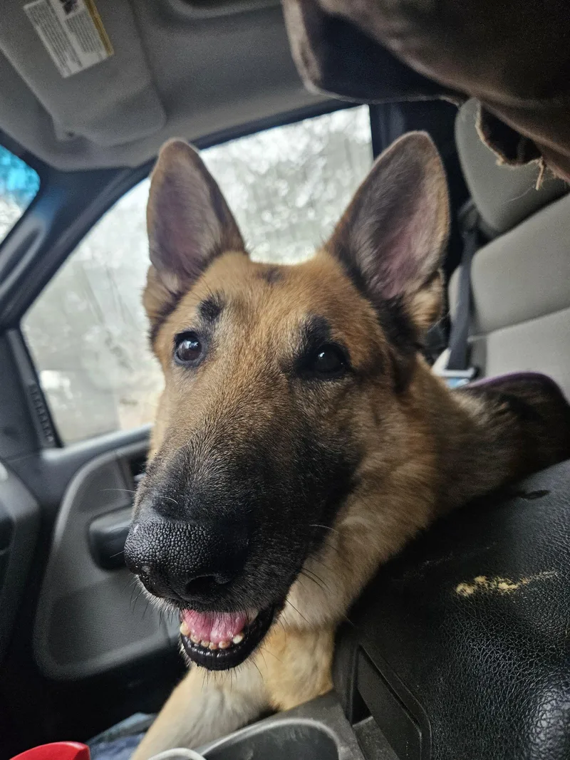 Mista Sprinkles thumbnail 3