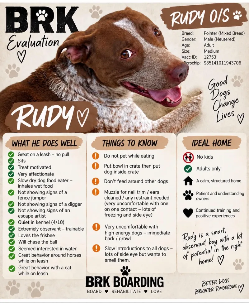 Rudy thumbnail 5