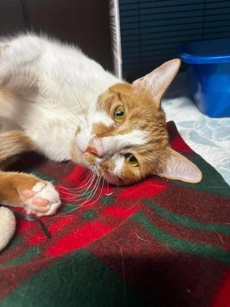 Garfield  Terry thumbnail 2