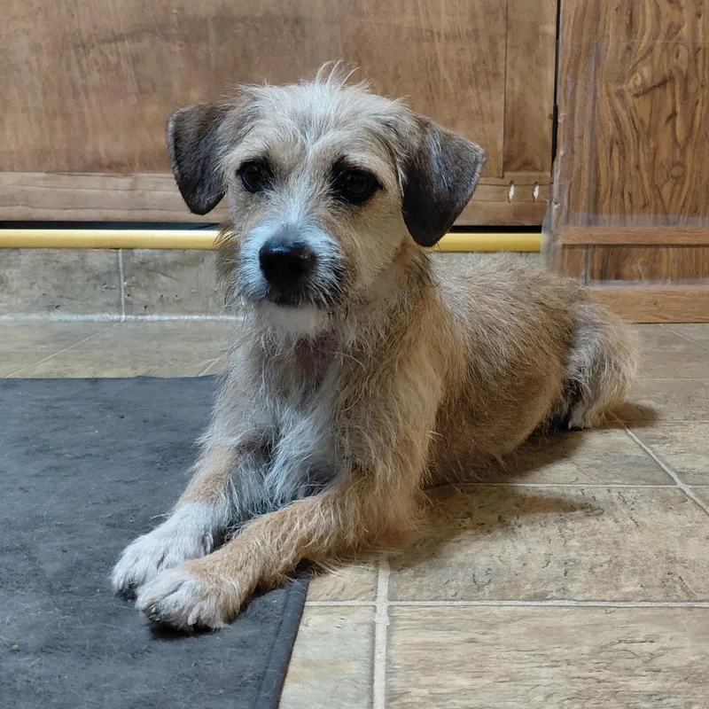 Utopiapf thumbnail 2