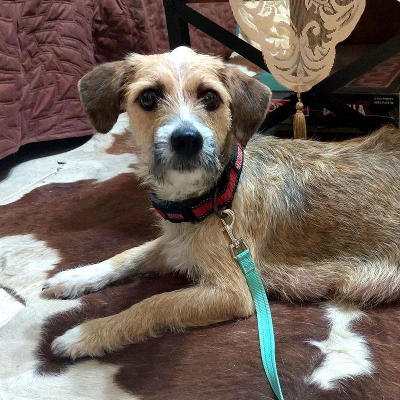 Utopiapf thumbnail 3