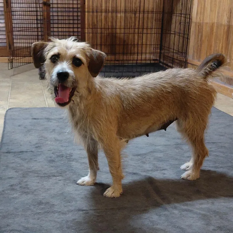 Utopiapf thumbnail 4