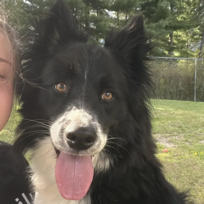 Annie thumbnail 3