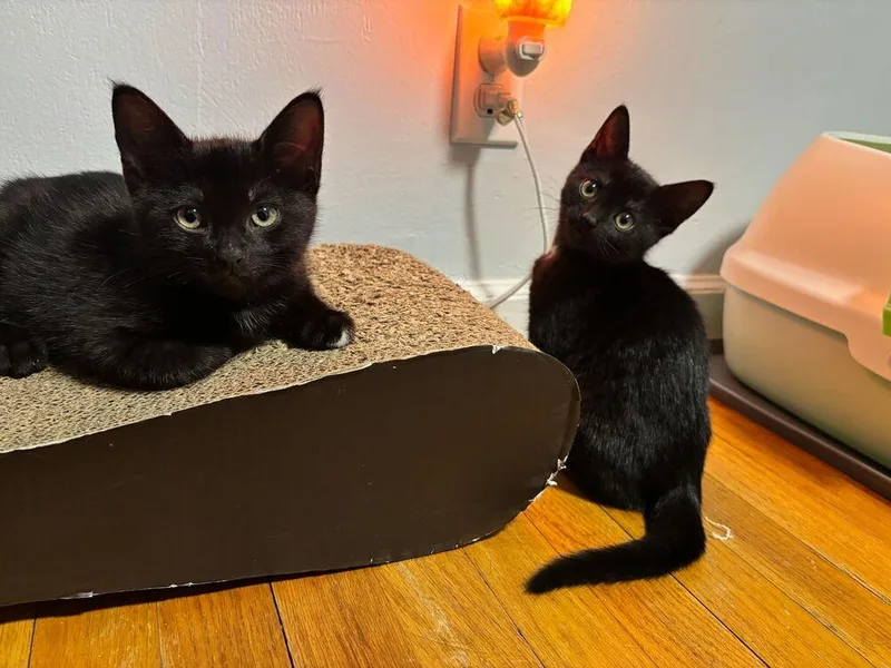 Lenny and June thumbnail 2