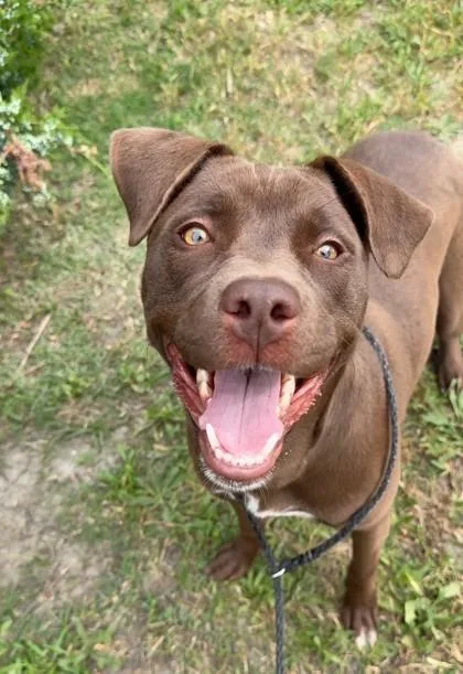 Princesa thumbnail 2