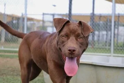 Princesa thumbnail 3