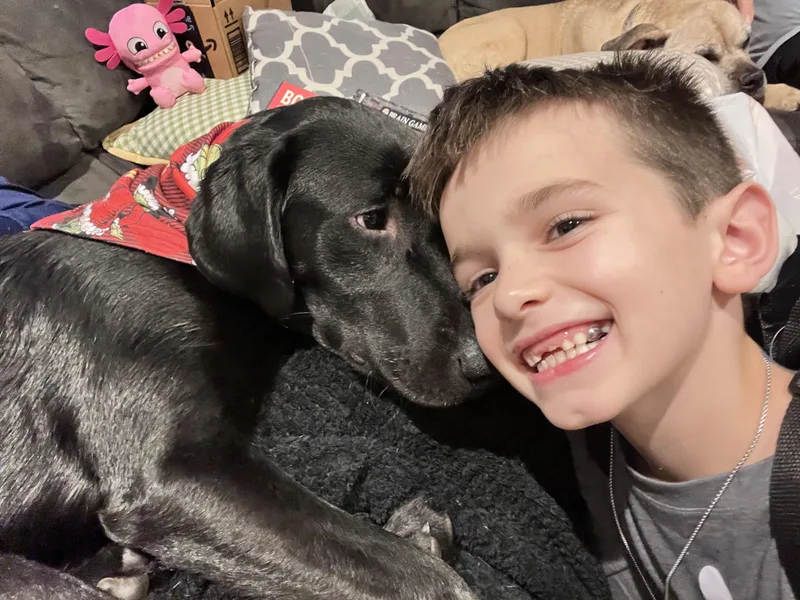 Harry Pawter thumbnail 2