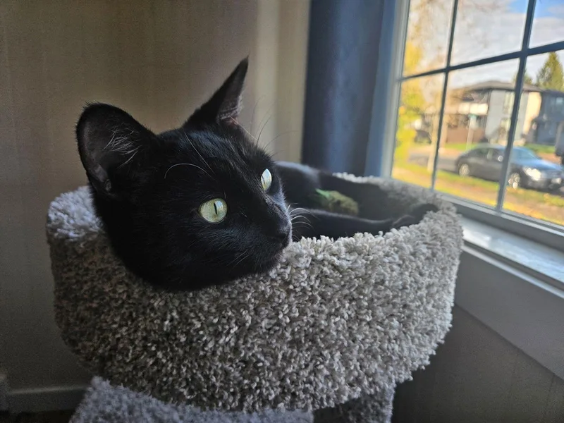 Rosie A  Offered thumbnail 2