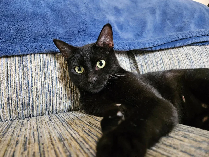 Rosie A  Offered thumbnail 3