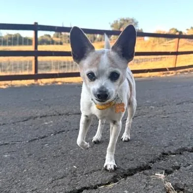 Mikey thumbnail 3