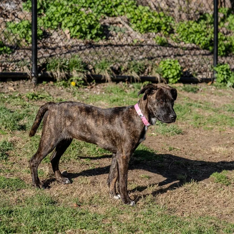 Winifred thumbnail 2