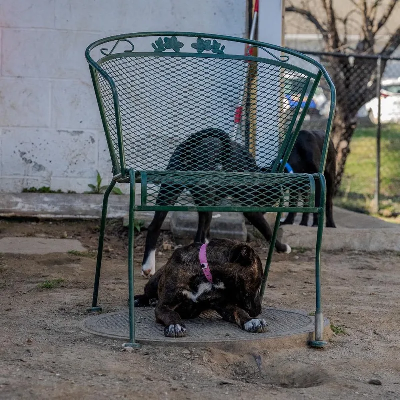 Winifred thumbnail 3