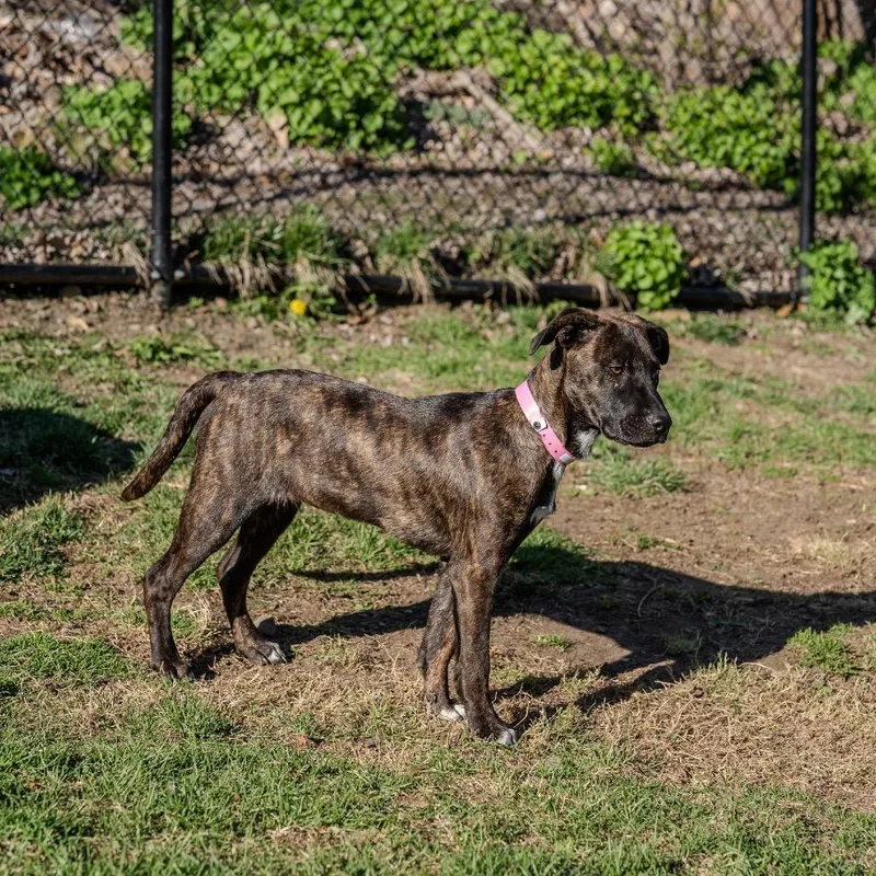 Winifred thumbnail 4