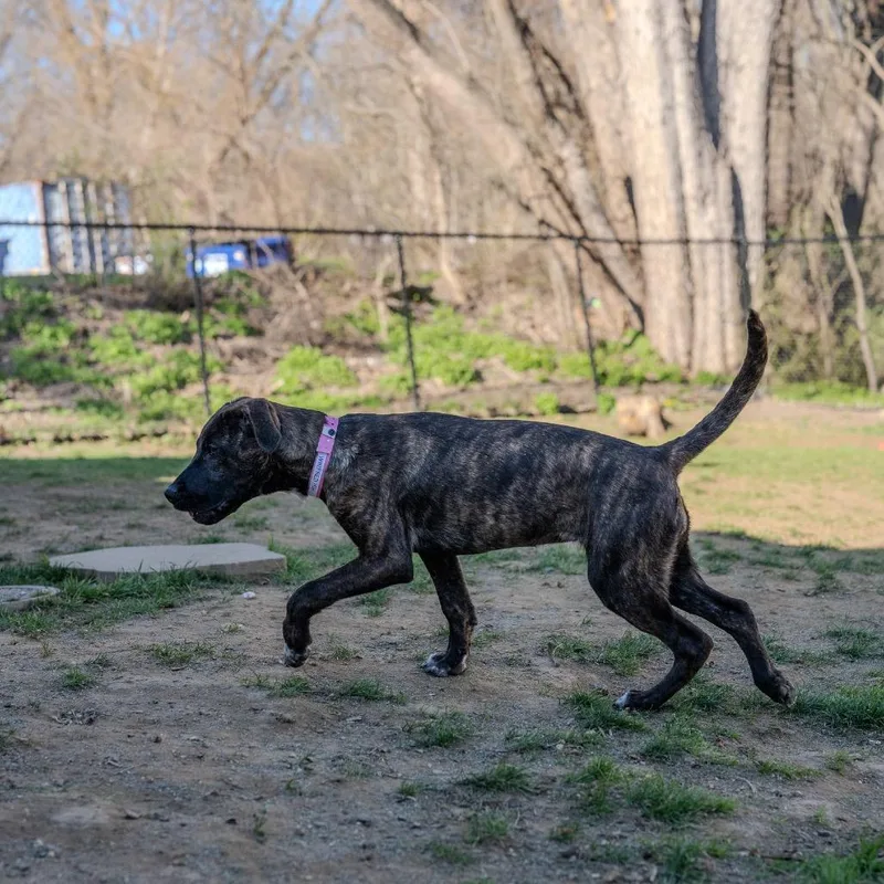 Winifred thumbnail 5