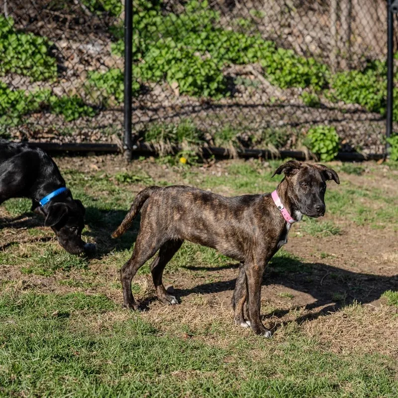 Winifred thumbnail 6