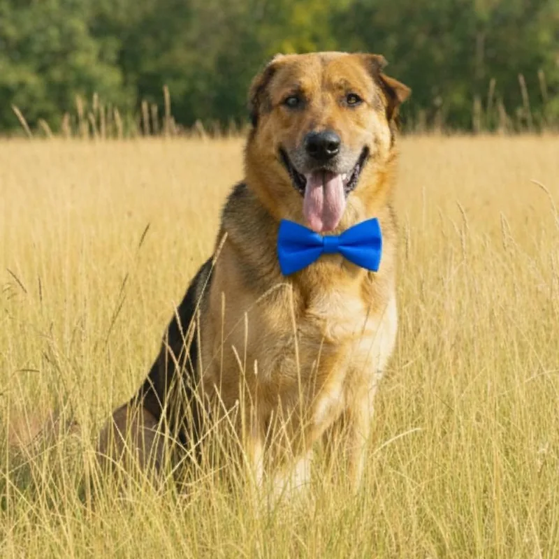 Peluche Gs thumbnail 2