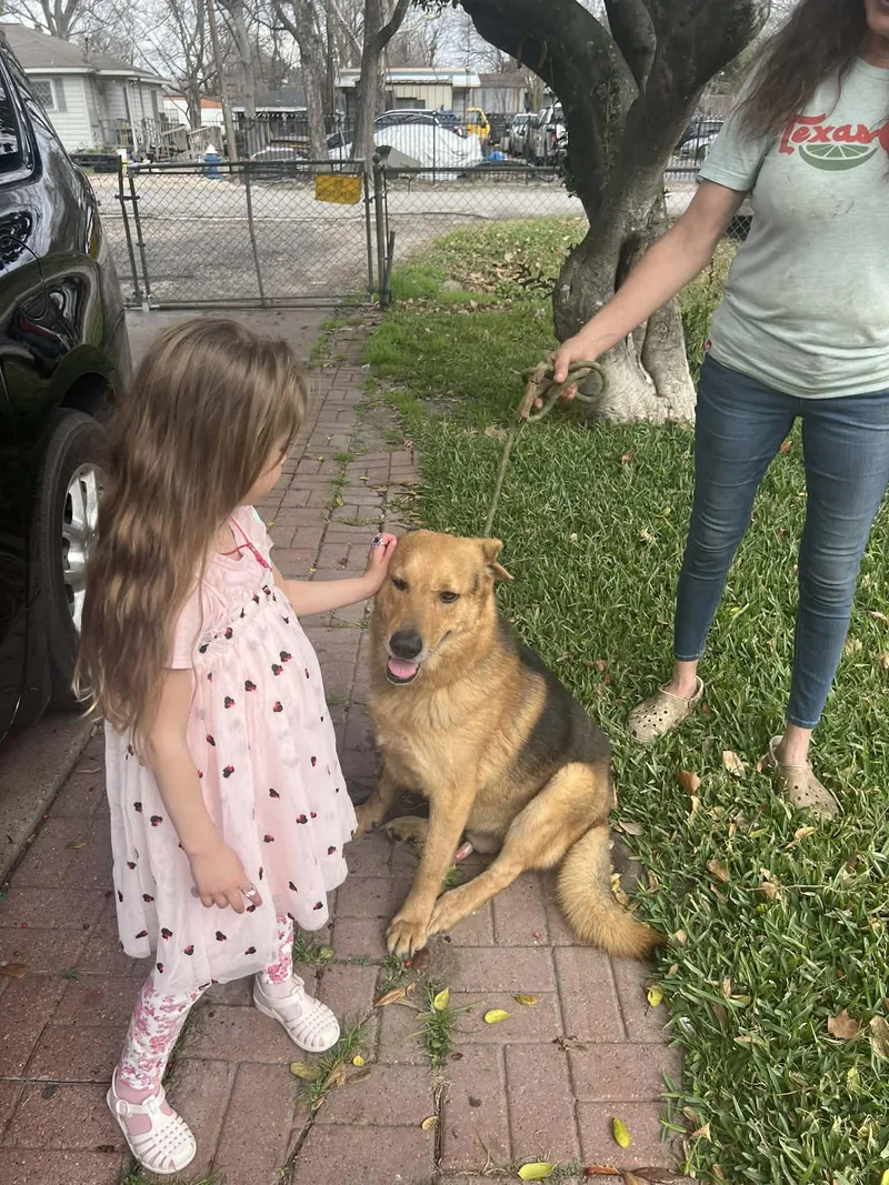 Peluche Gs thumbnail 3