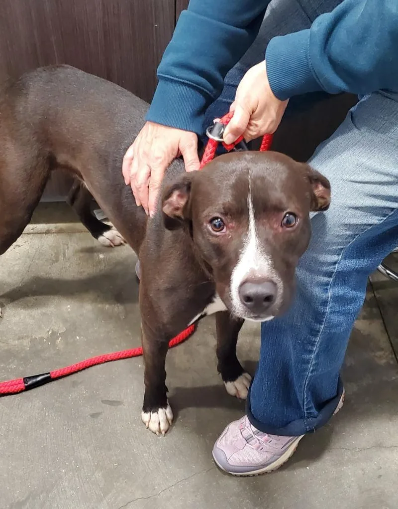 Flapjack thumbnail 2