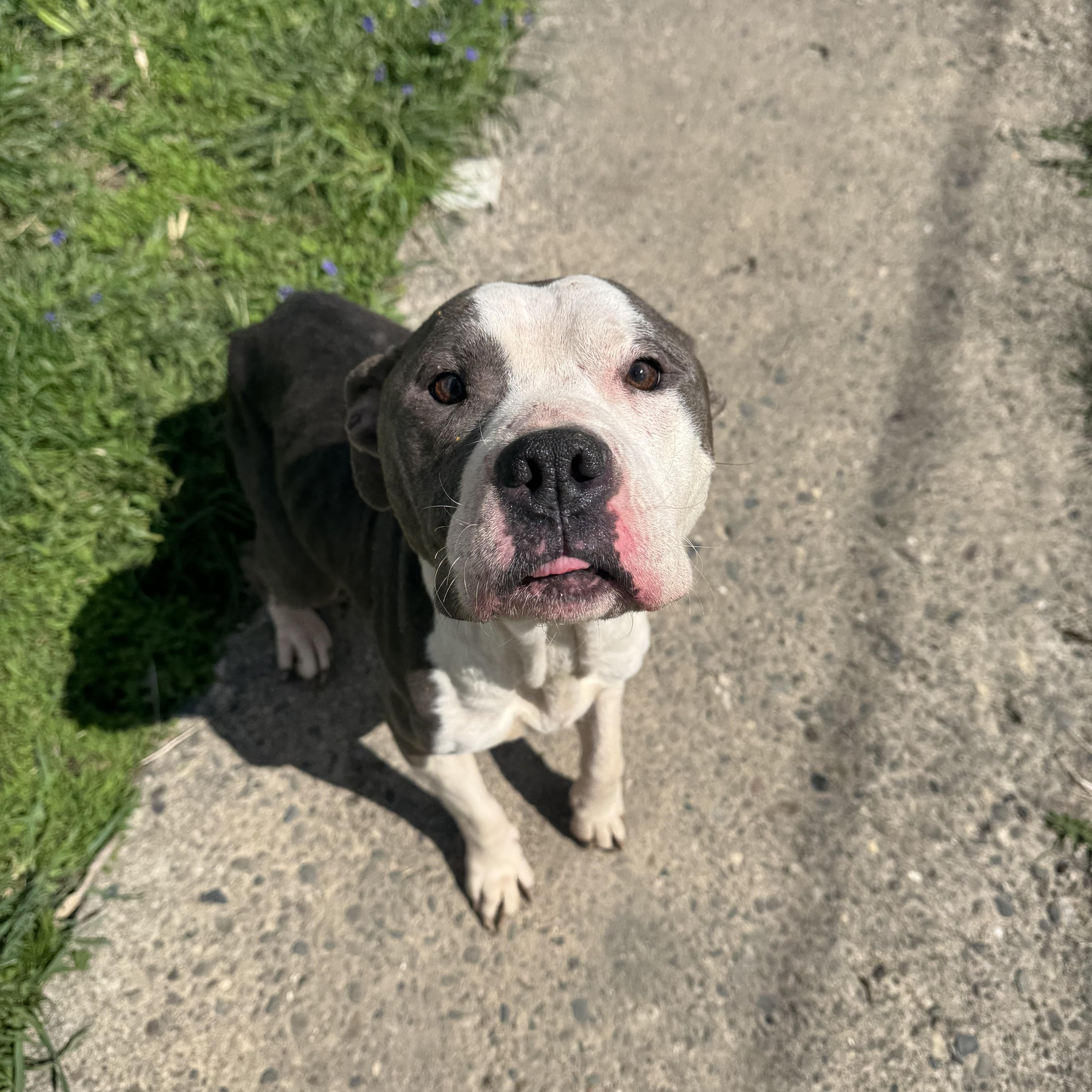 Buddygirl! Gentle And So thumbnail 2