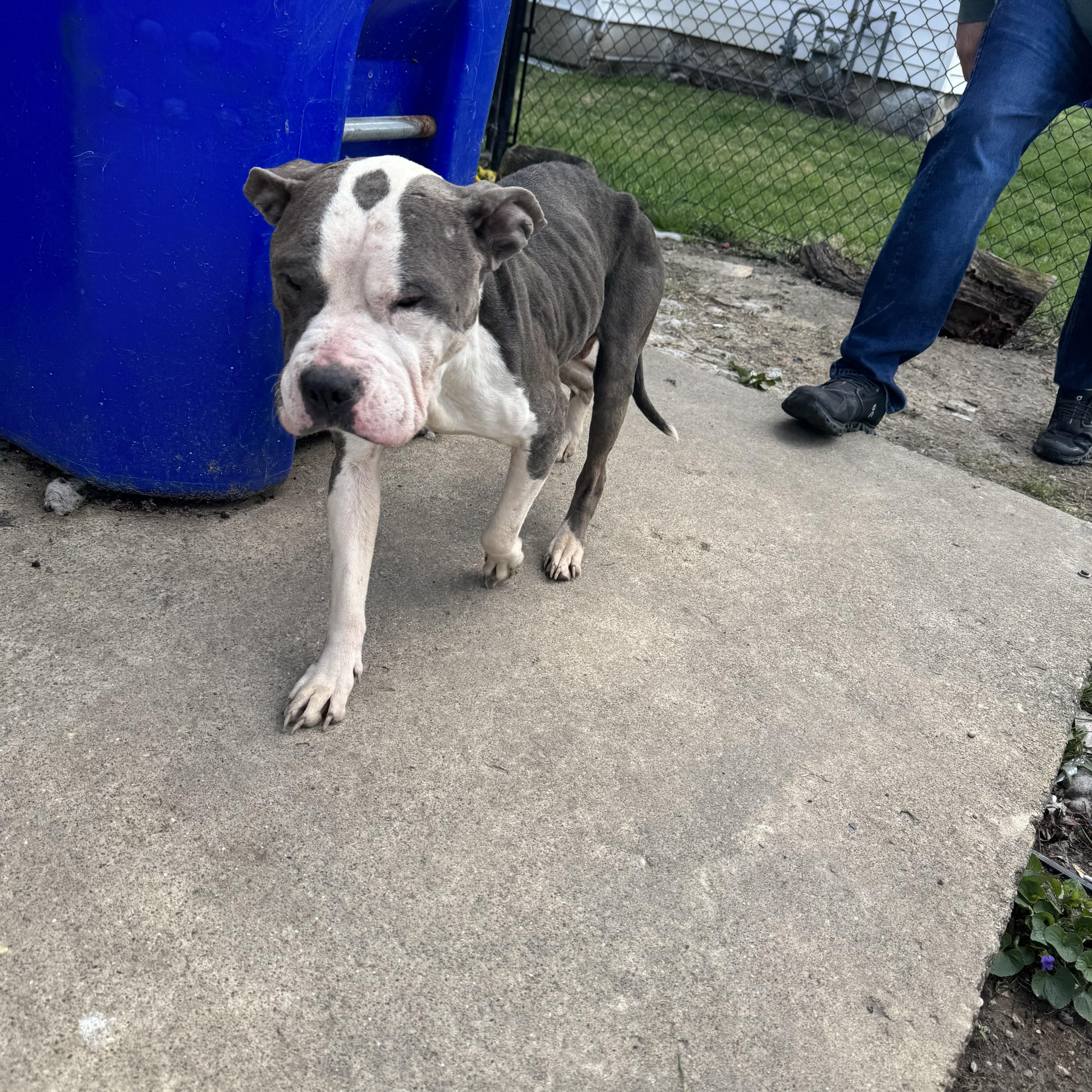 Buddygirl! Gentle And So thumbnail 3