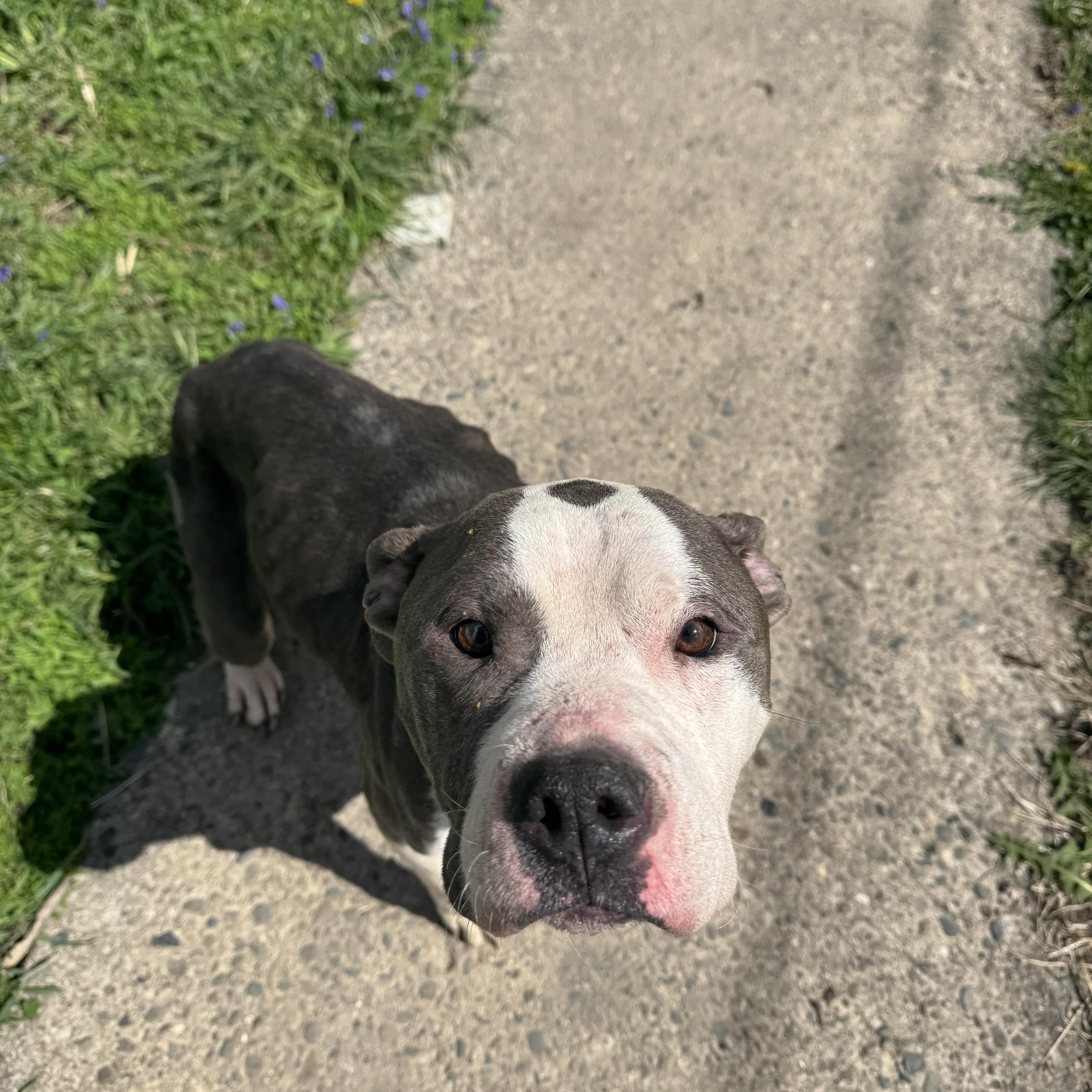 Buddygirl! Gentle And So thumbnail 5