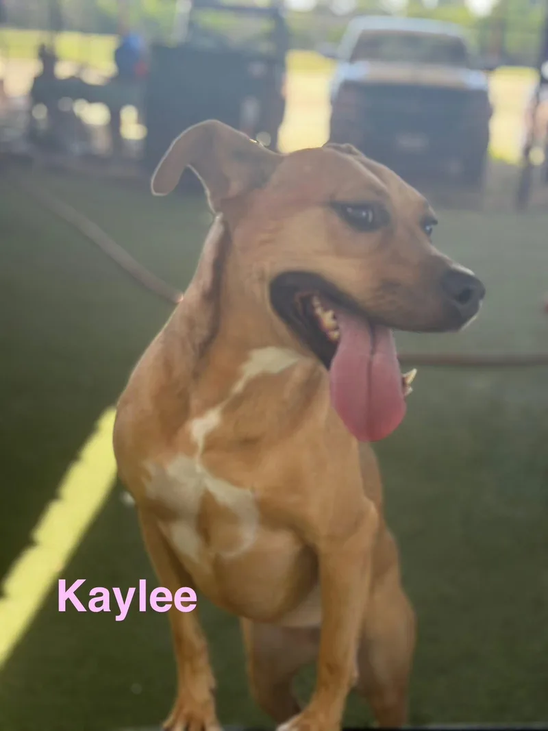 Kaylee thumbnail 2