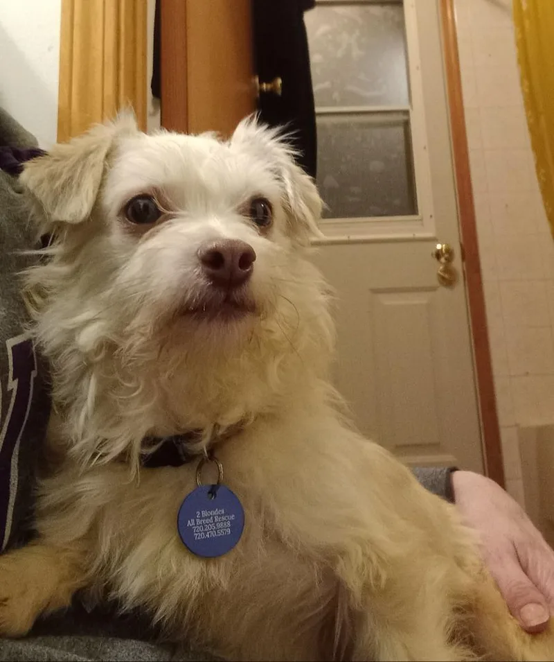 Bramble thumbnail 2