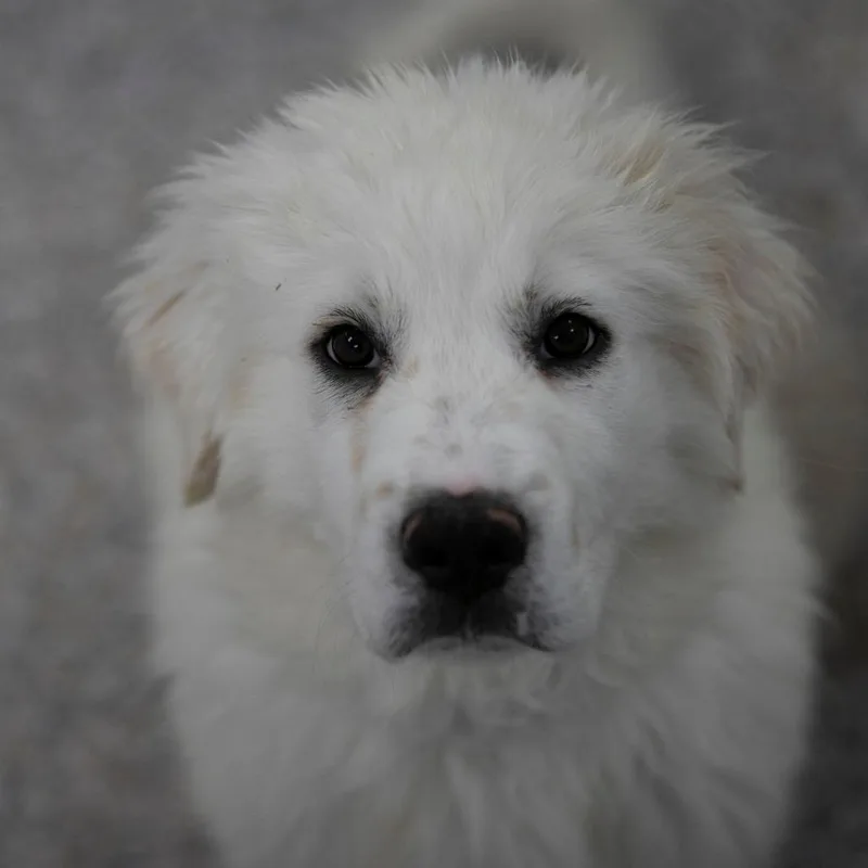 Ted thumbnail 2