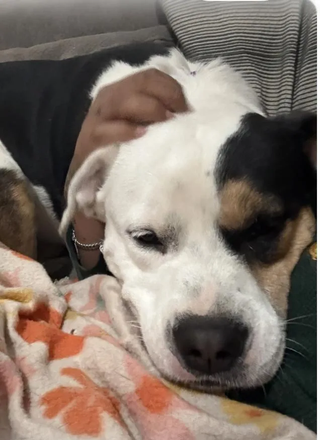 Zane And Rascal  thumbnail 2