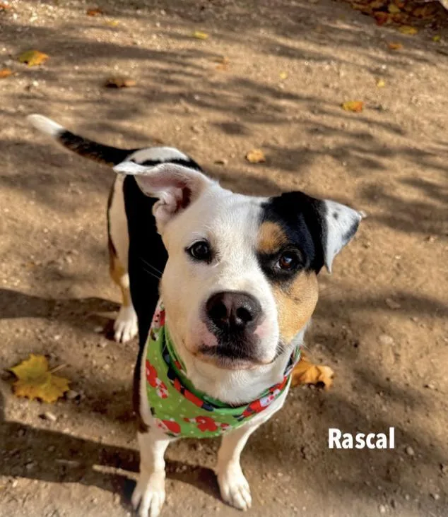 Zane And Rascal  thumbnail 5