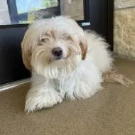 Mercedes thumbnail 2